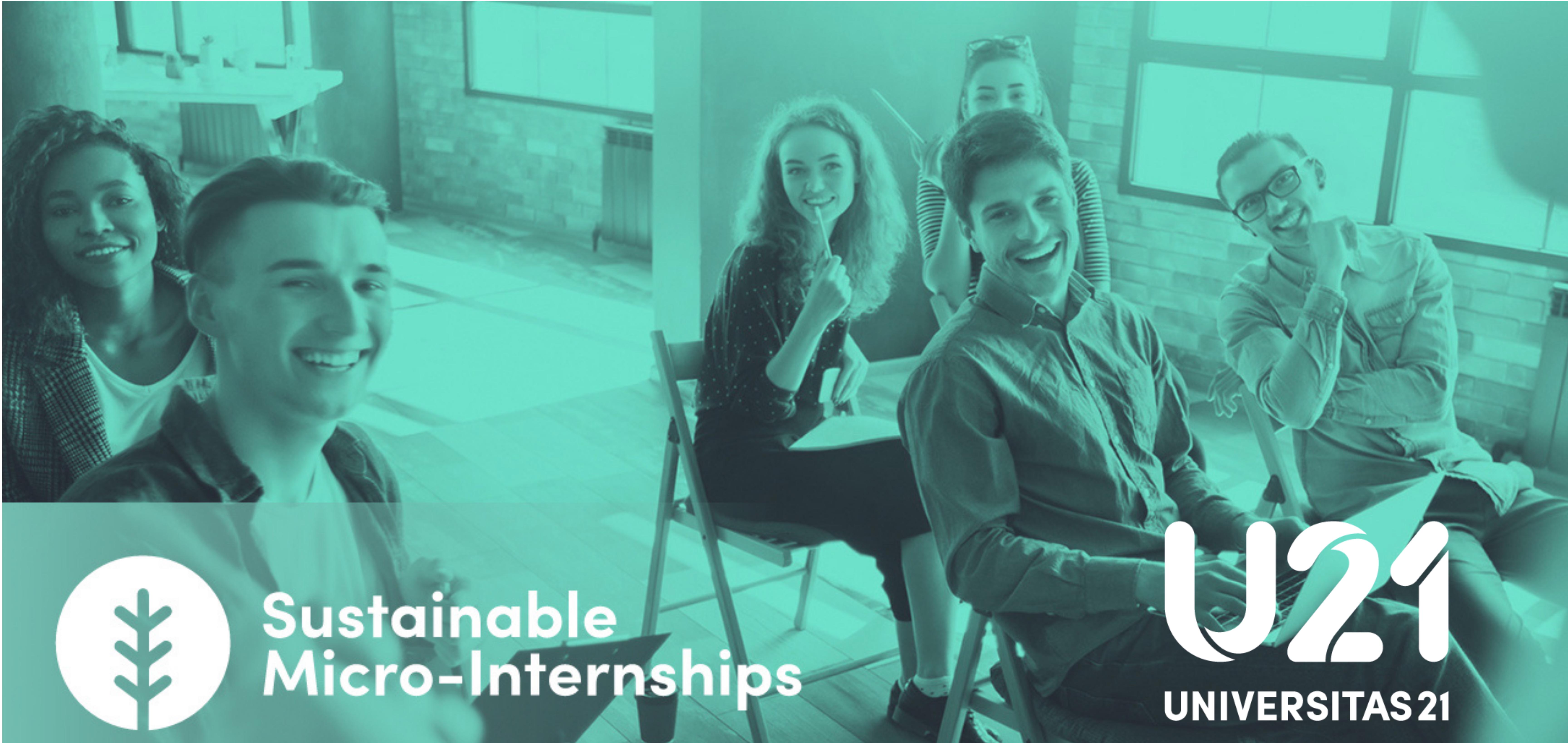 U21 Sustainable Micro Internship Banner