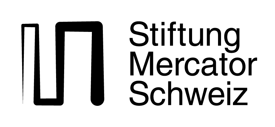 Stiftung Mercator Logo